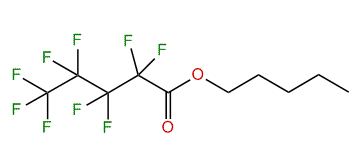 Pentyl 2,2,3,3,4,4,5,5,5-nonafluoropentanoate